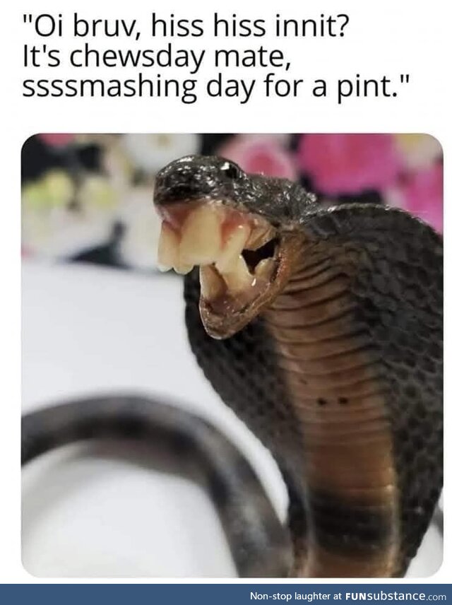 Bri'ish snek