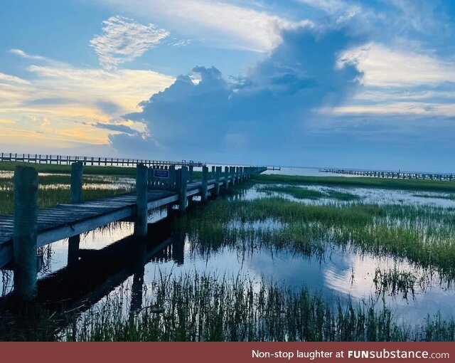 Chincoteague island