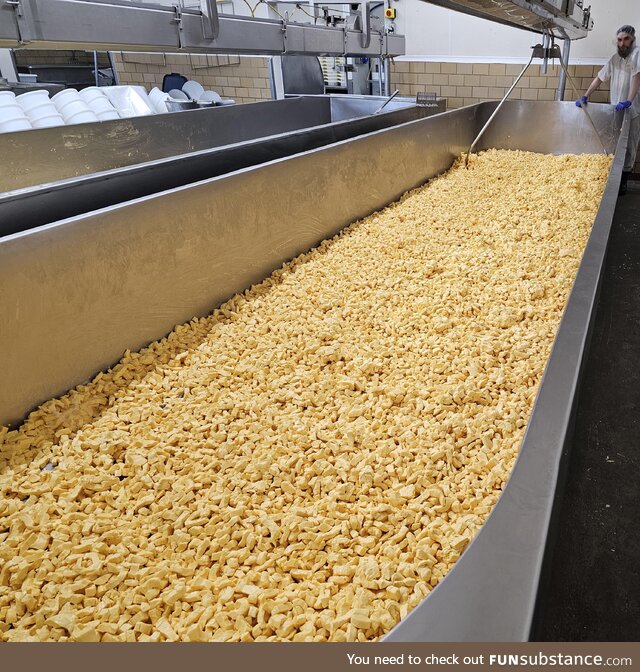 Took this at work today. About 1200 lbs (544 kg) of cheese curds!