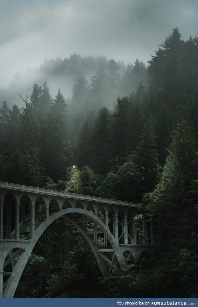 A shot I took of a bridge on the Oregon Coast