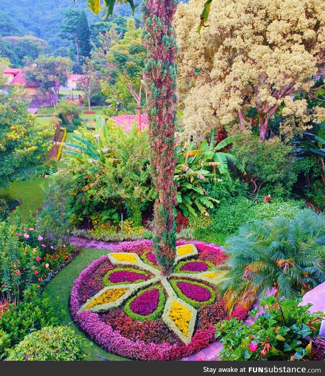 Floral column