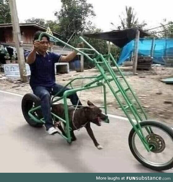 Dog powered motorcycle