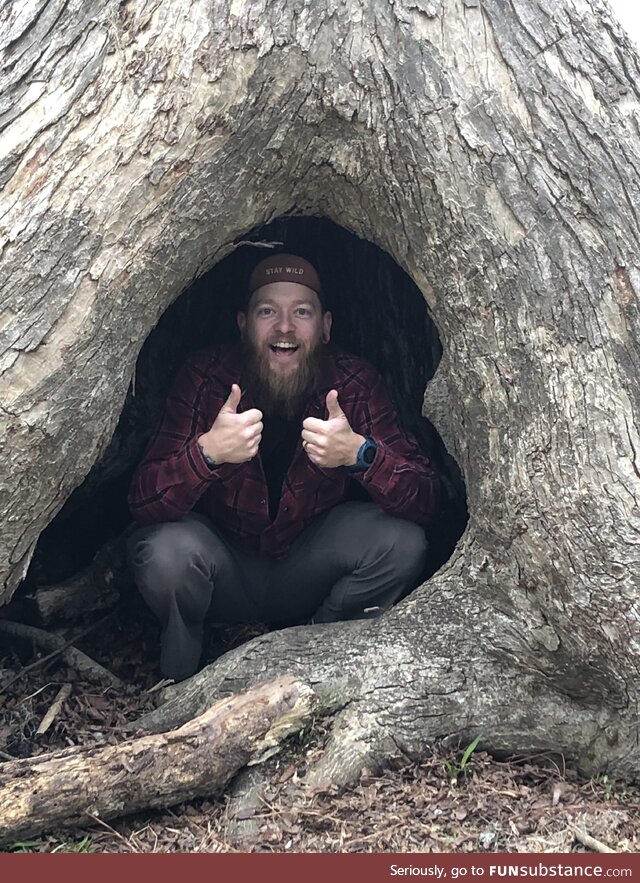 Went for a walk in a park……. Found a random Canadian in a tree! [OC]