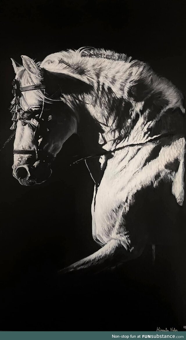 Realistic painting, white on black. White Andalusian