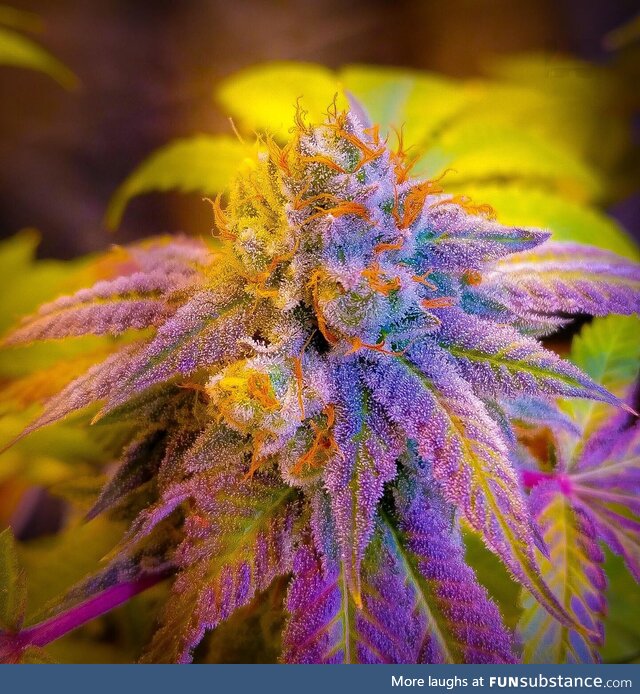 Psychedelic pink