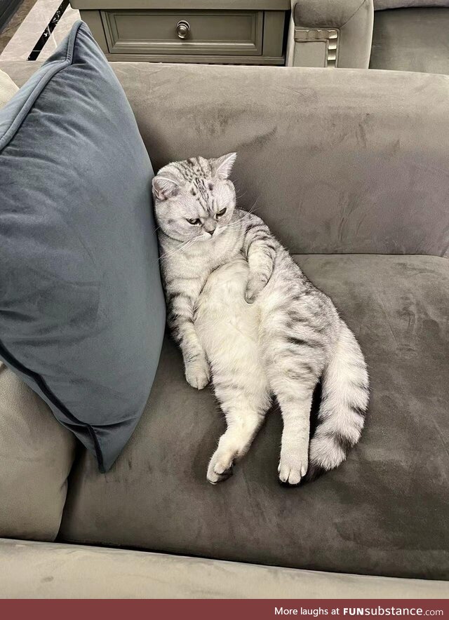 Don’t mind her, she’s just chilling