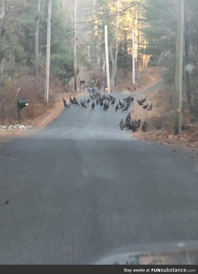 Thanksgiving Day survivor group meeting