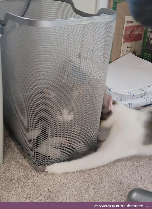 He got trapped and his brother is trying to save him!