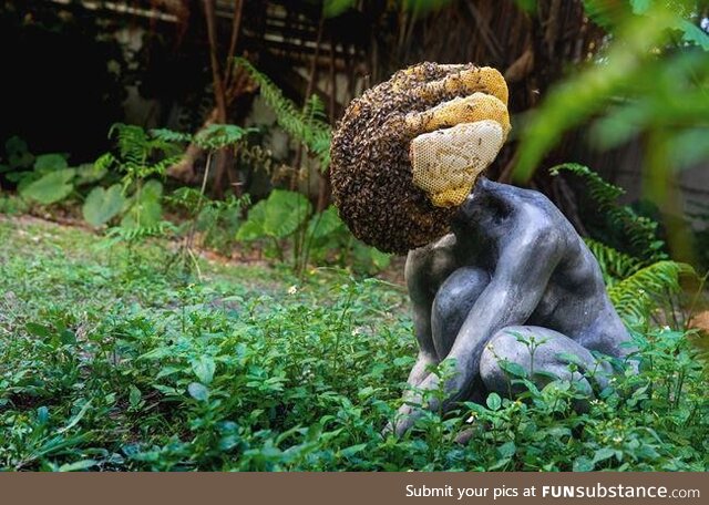 Beehive engulfing this statue