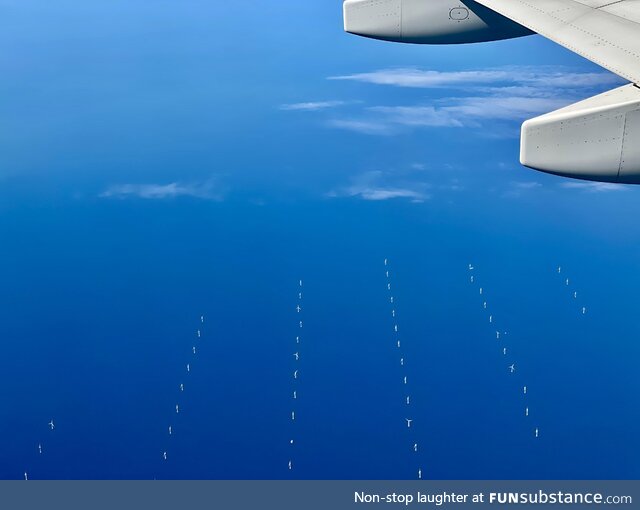 Wind farms in the English Channel
