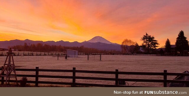 Mt. Rainier sunrise