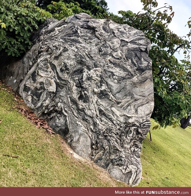 Its horrifiying. What do you see?