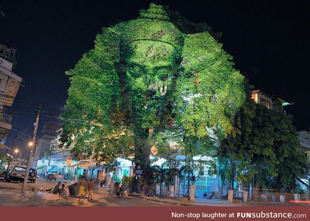 3D Projections on Trees [or] How to give someone on acid a bad trip