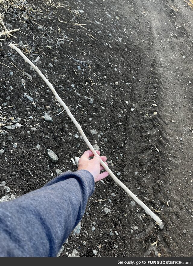 (OC) men of , the perfect stick