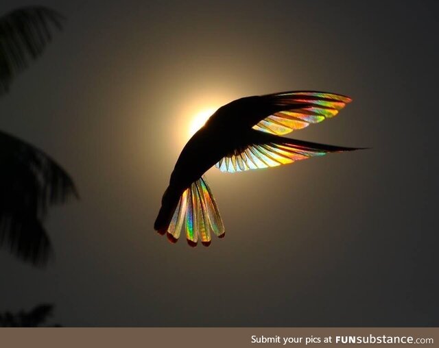 The beauty of nature