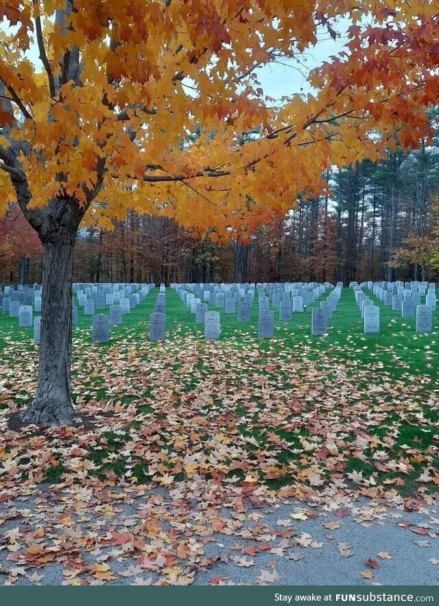 A photo of cemetery looks like 2 images stitched together