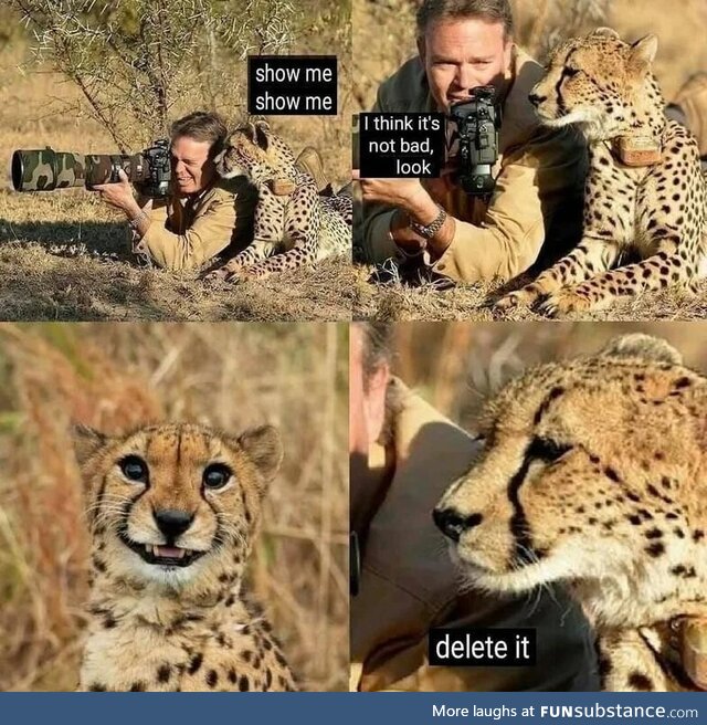 Make a stop