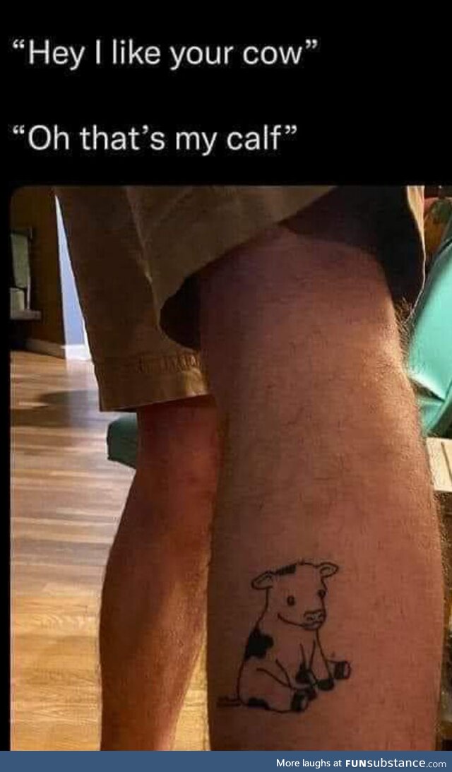 Calf for a laugh