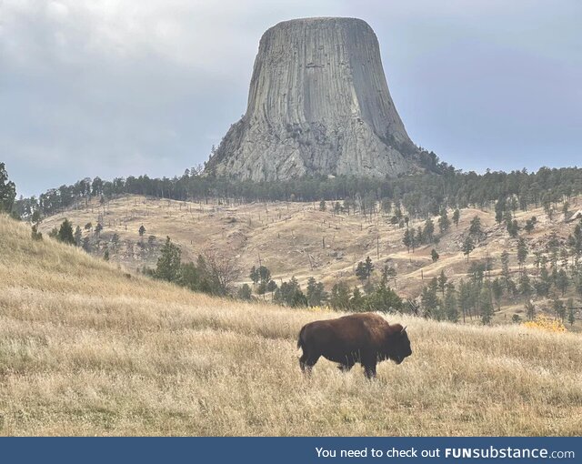 Wyoming