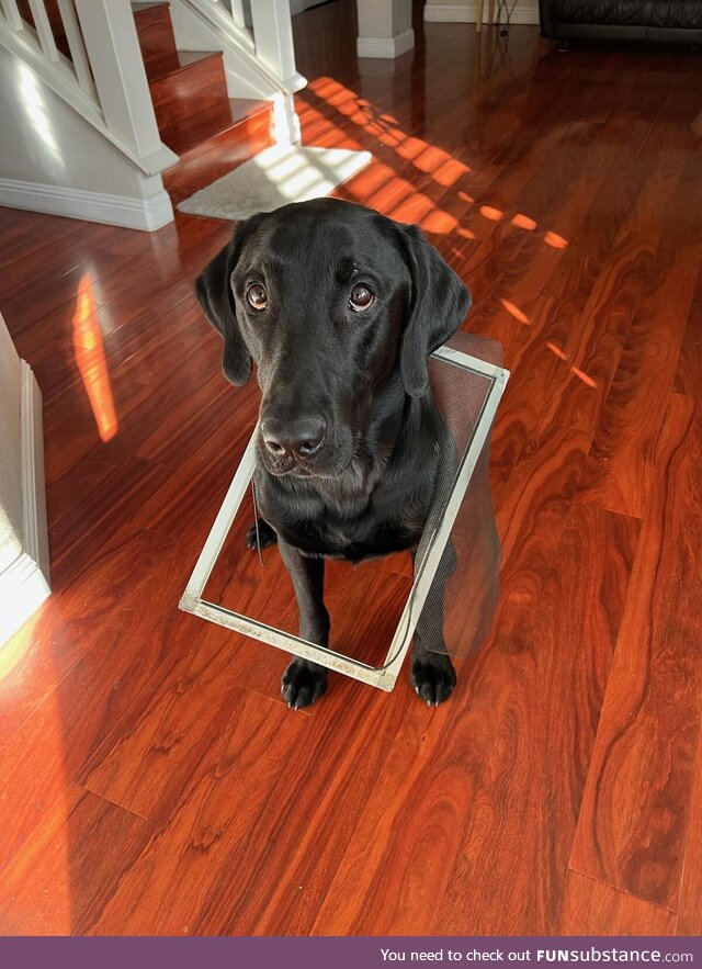 If guilt had a face