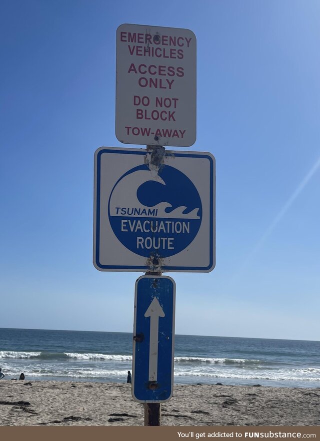 In case of tsunami, run towards the ocean