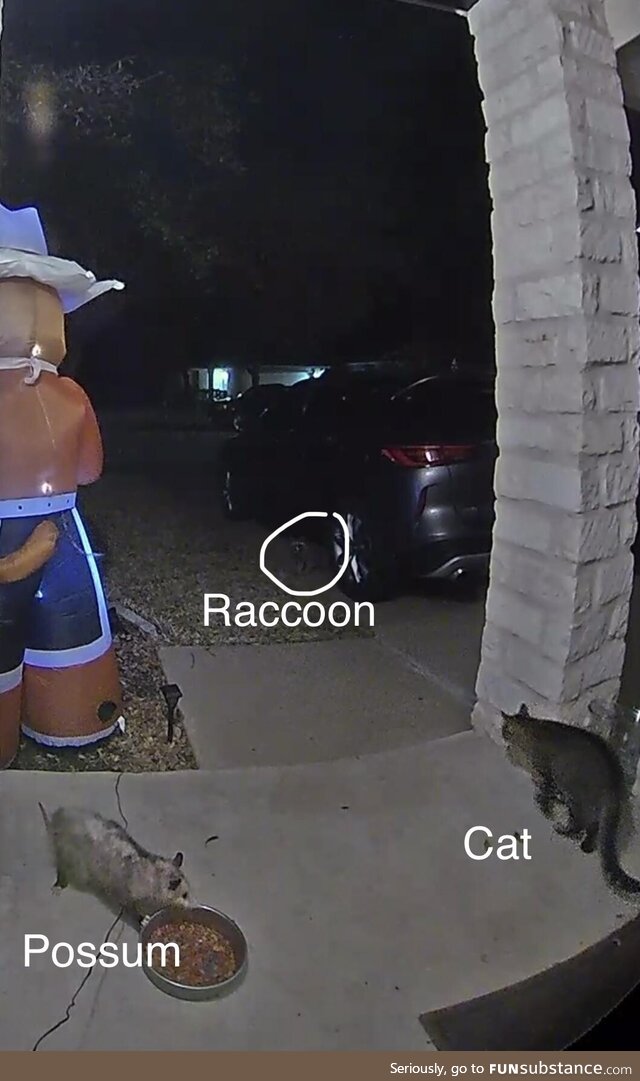 Typical Saturday night in Texas