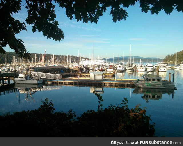 Friday harbor, san juan island, wa