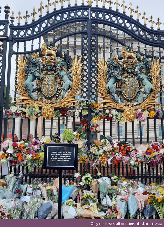 The floral gesture of the UK citizens (OC)