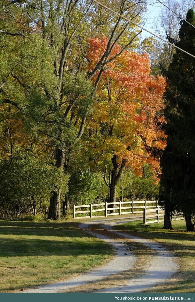 Fall is in the air