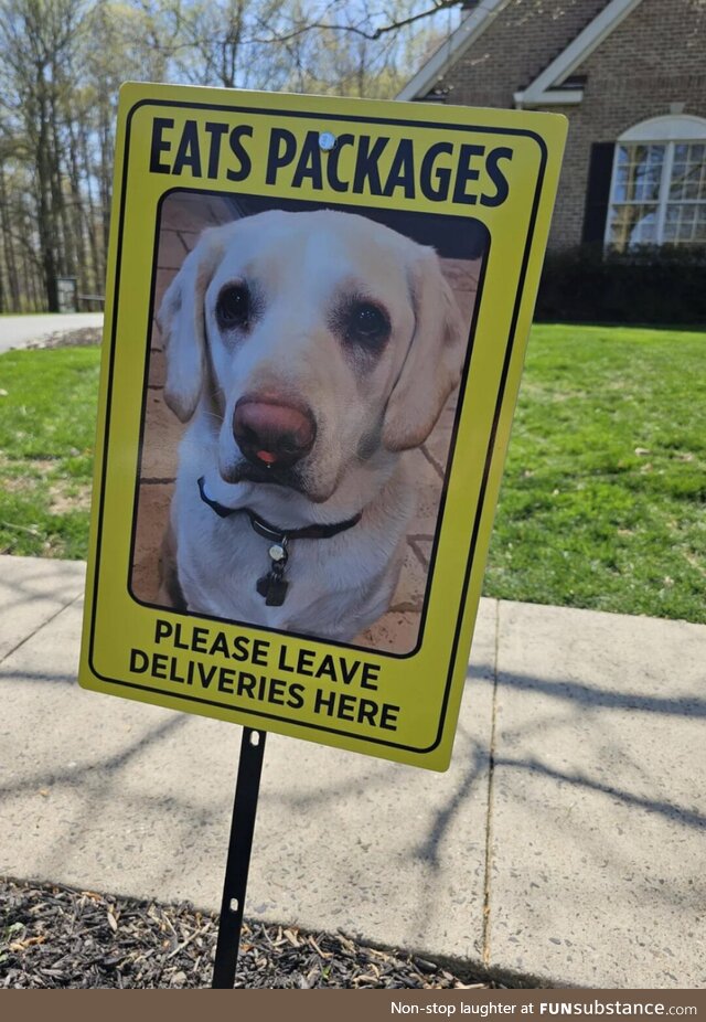 Why did they do the dog like this