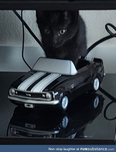They grow up fast. Adopted her this morning and already driving