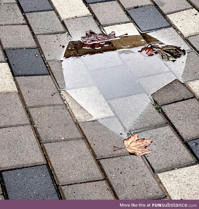 Puddle didn’t fully render