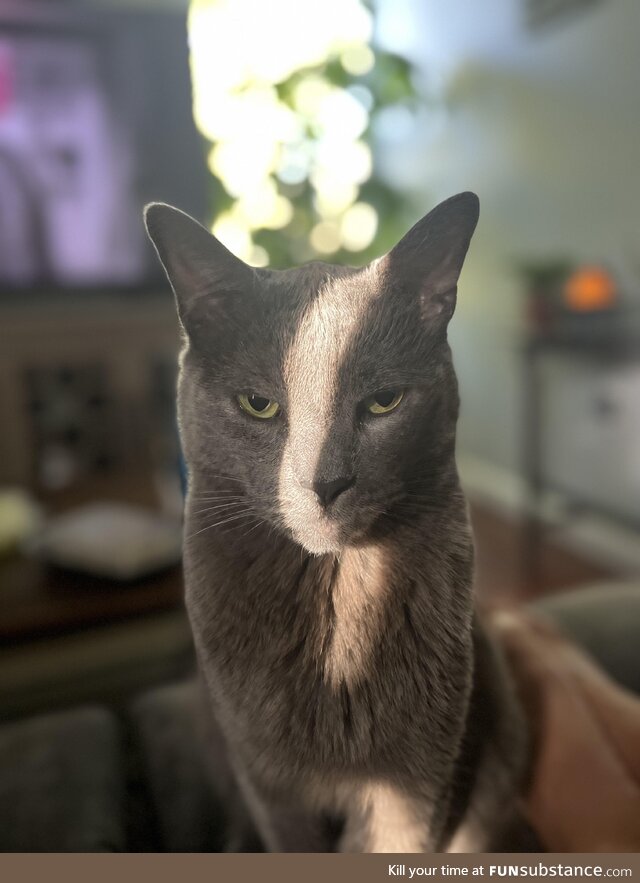 Right before dinner time [OC]