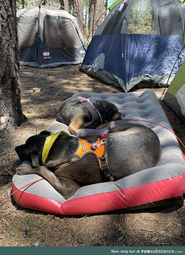 Roughing it
