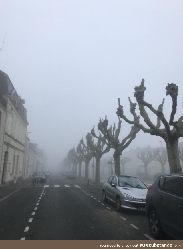 The trees are tired of your shit
