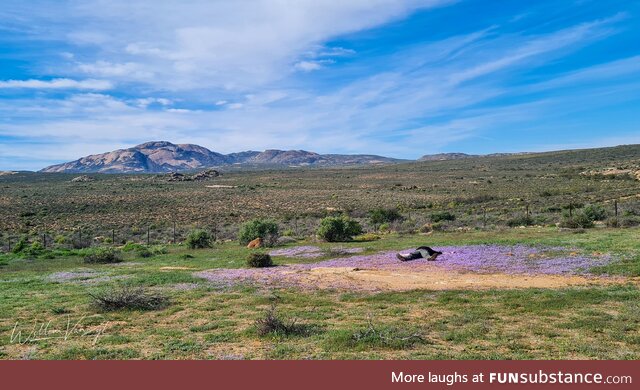 Northern cape landscape, south africa