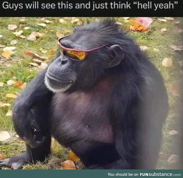 Guys will see this and think hell yeah