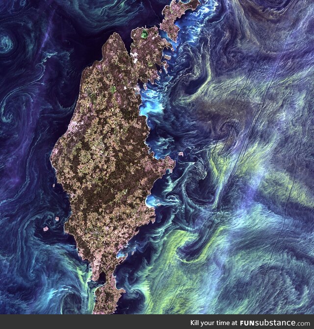 Gotland, Sweden, looks like van Gogh's "Starry night" from space