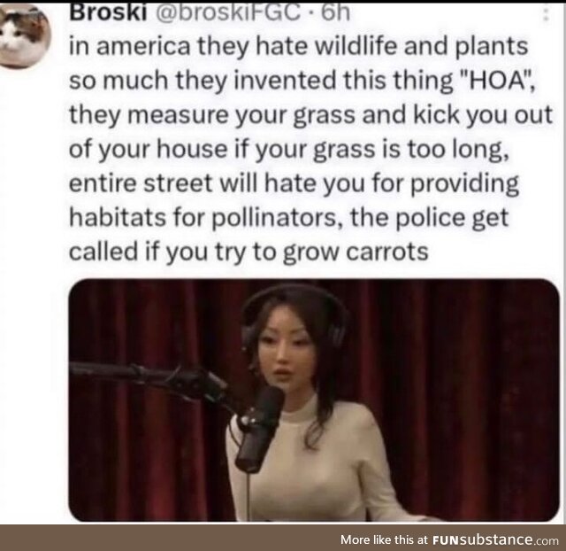 **** hoa's