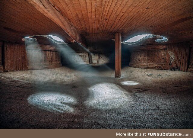 Inside a 130 year old Violin