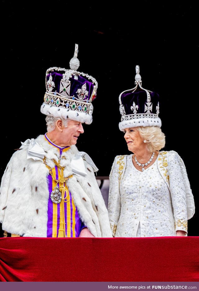 From this angle, their hats look huge