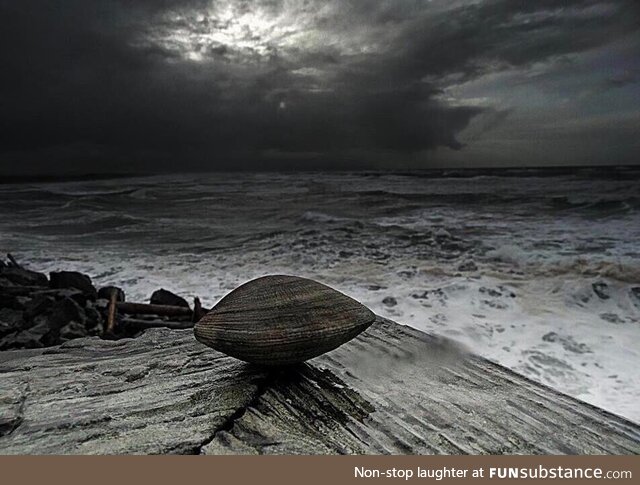 The clam before the storm