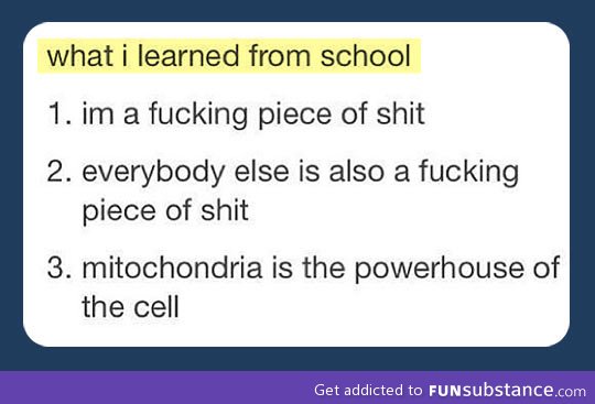 What I learned from school