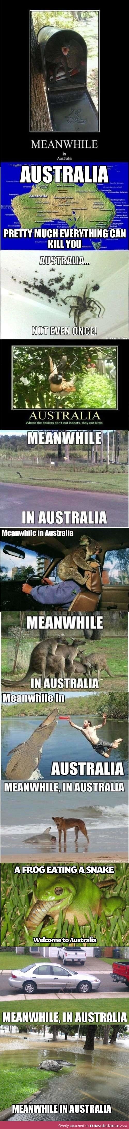 Meanwhile in australia compilation