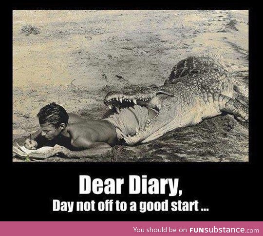 The crocodile diaries