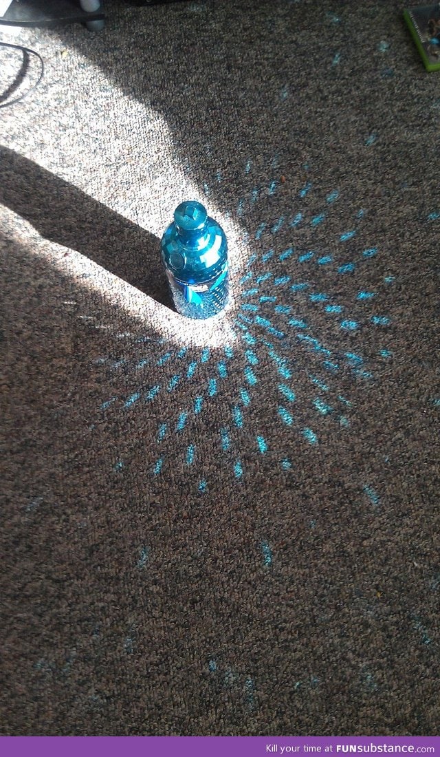 The sun hit this bottle cover perfectly