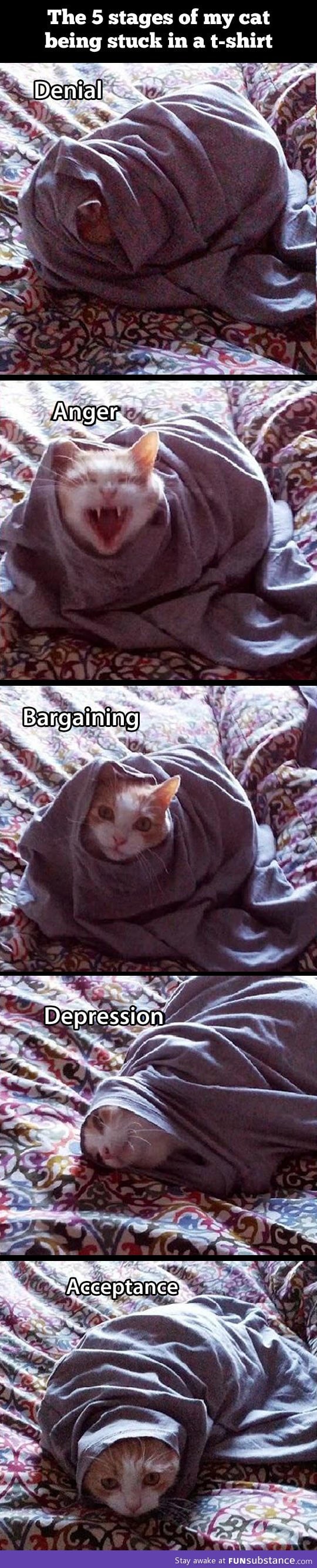 The 5 stages of a cat stuck in a t-Shirt