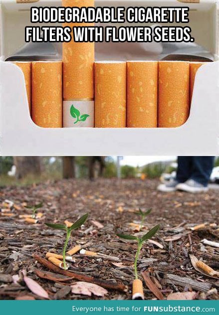 Cigarette filters with flower seeds