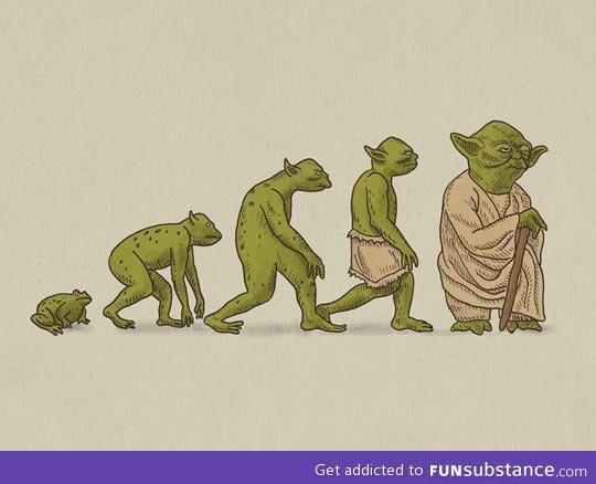 The evolution of yoda