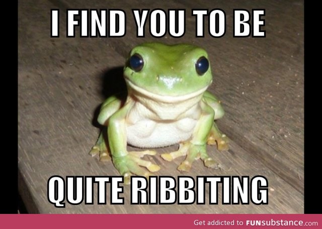 Oh frog, what a charmer you are